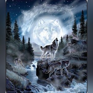 Men's T-Shirt Wolf Print 3-D Digital Short Sleeves Medium (38) NWT